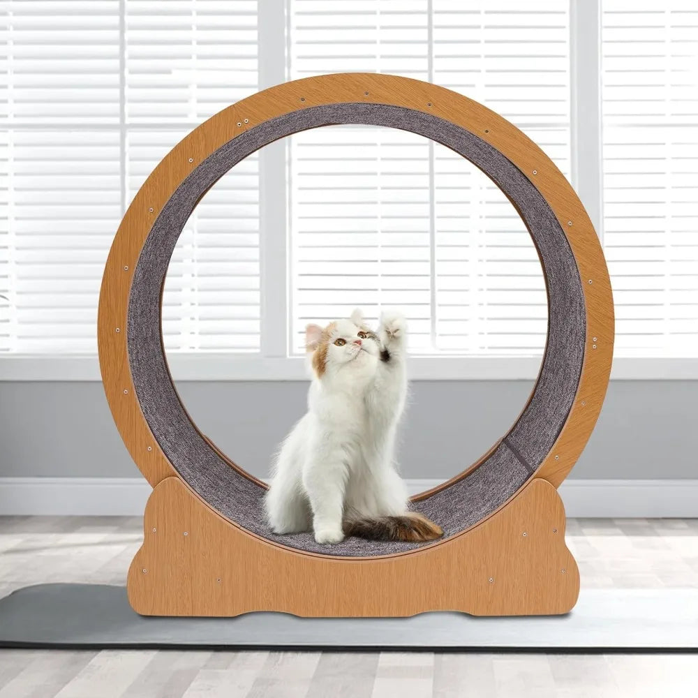 Indoor Cat Exercise Wheel with Toys for Active Play