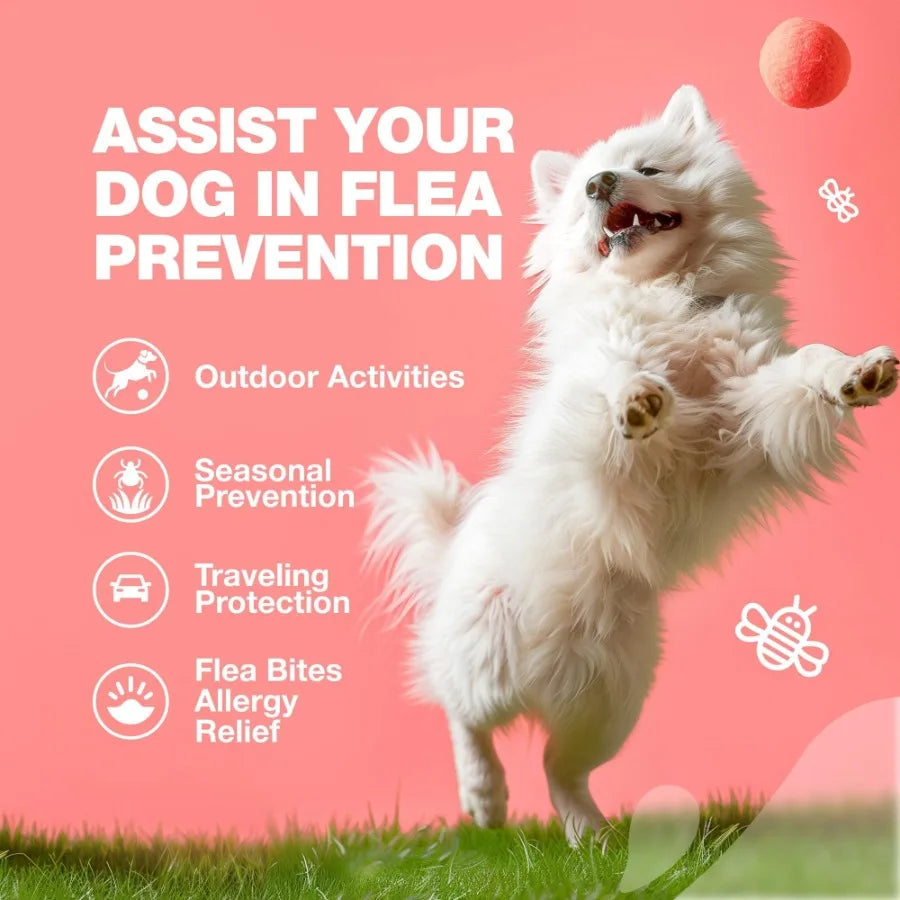Natural Dog Flea and Tick Treatment Chews for Prevention