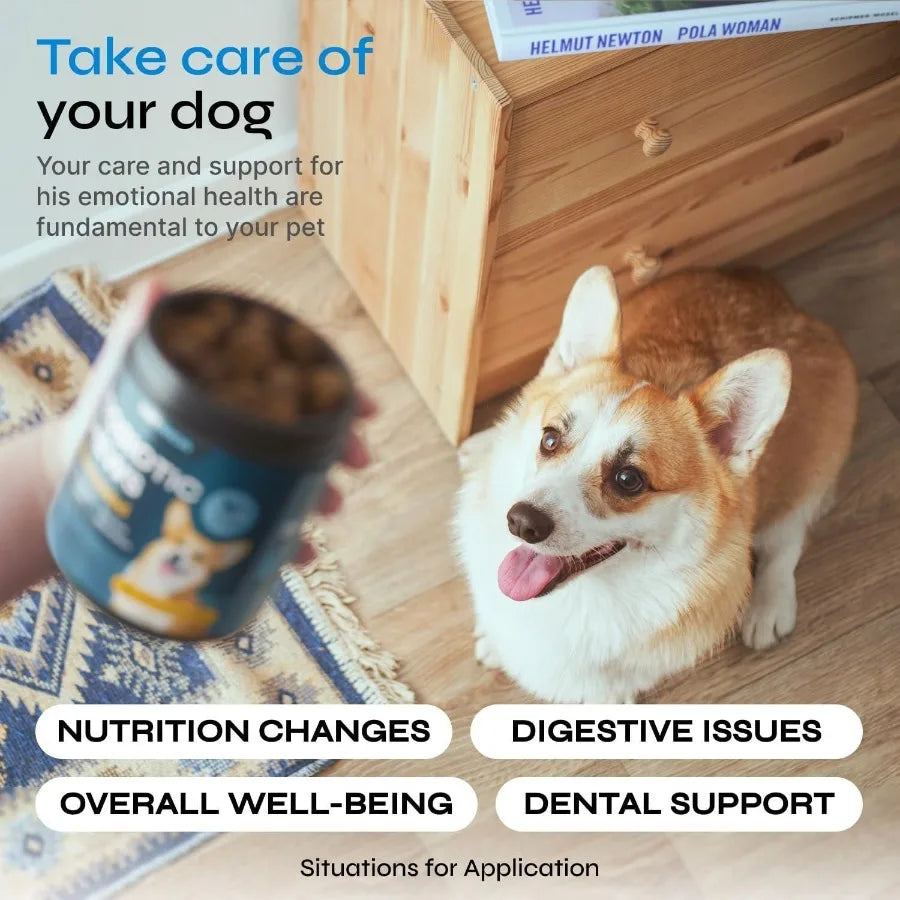Probiotic Dogs Chews for Digestive and Immune Support