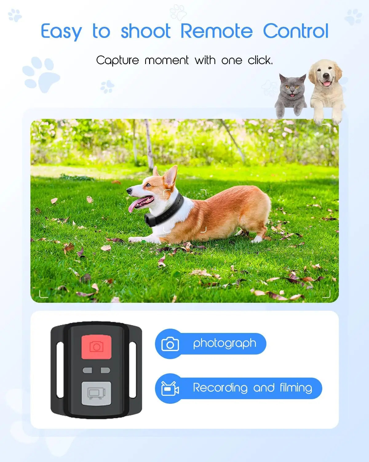 4K Cat Collar Camera with HD WiFi and 64GB SD Card