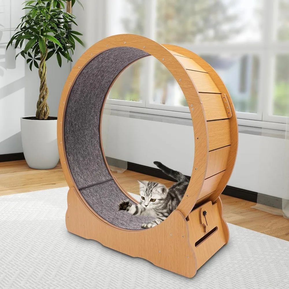 Indoor Cat Exercise Wheel with Toys for Active Play
