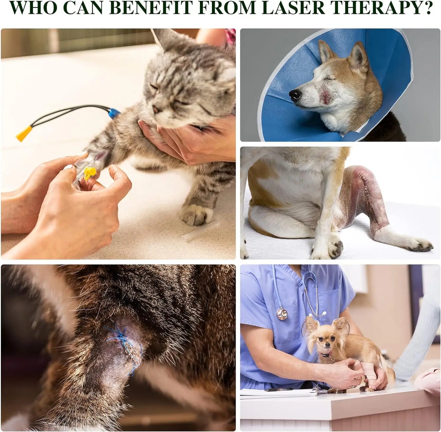 Portable Red Light Therapy Device For Pets Wavelengths 660nm And 810nm