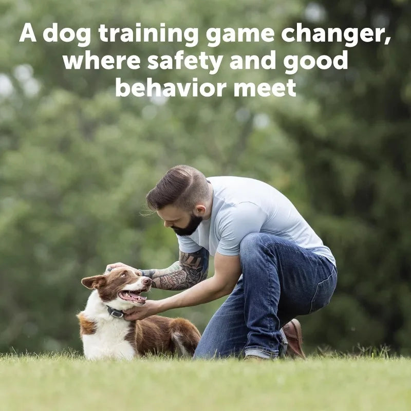 PetSafe Remote Trainer Dog Collar With 3 Training Modes
