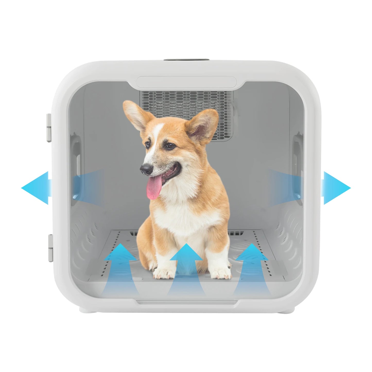 Pet Dryer Box 800W For Grooming And Sanitizing Cats