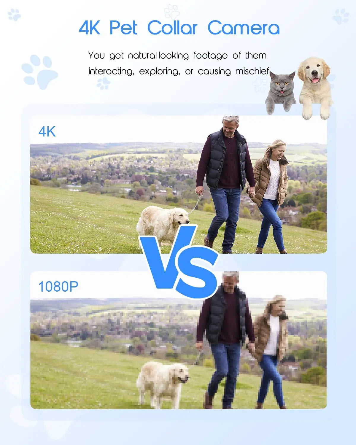 4K Cat Collar Camera with HD WiFi and 64GB SD Card
