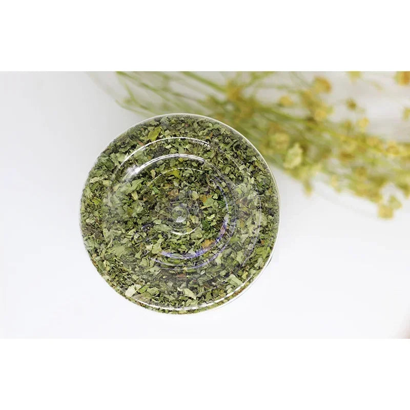 Organic Catnip Cat Grass Mint Taste Interactive Cat Toy