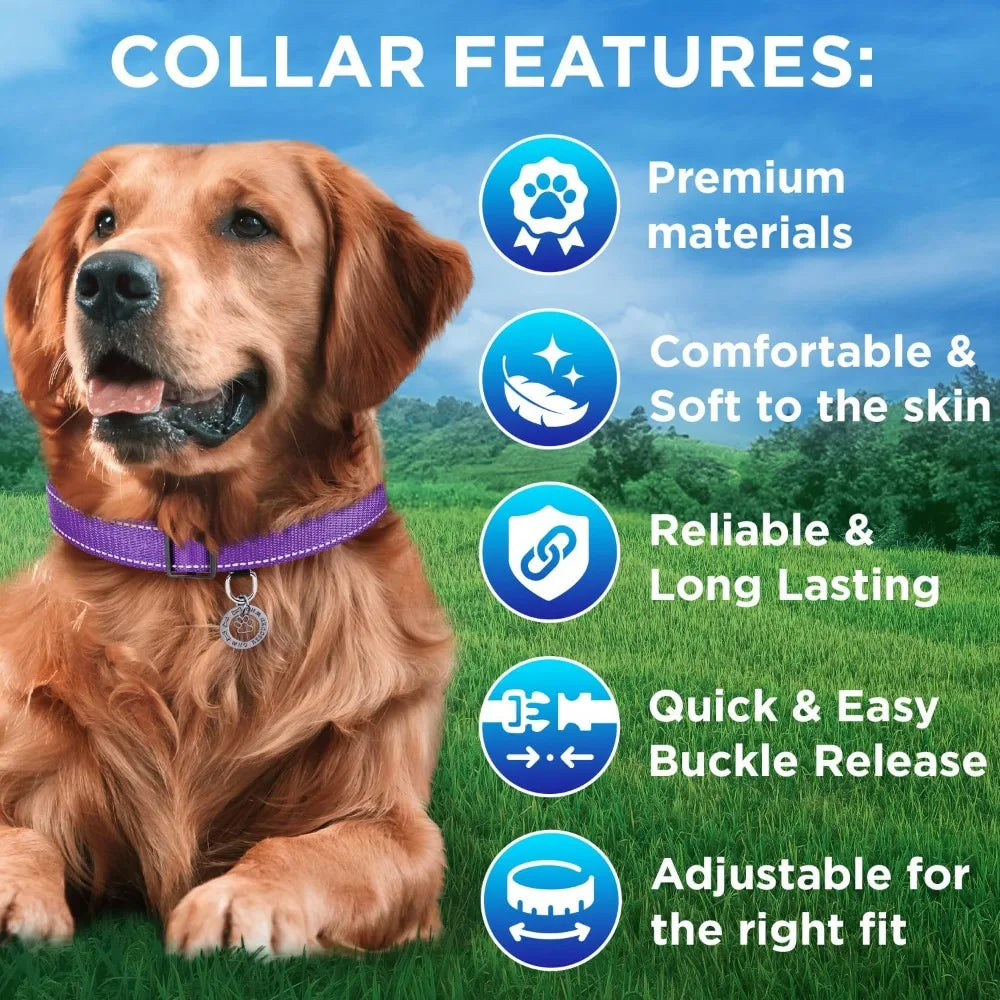 Reflective Dog Collar β Violet β S β Basic Nylon Pet Collar οΌQuick Release Buckle οΌ Fits Small, Medium and Large Dogs, Puppies