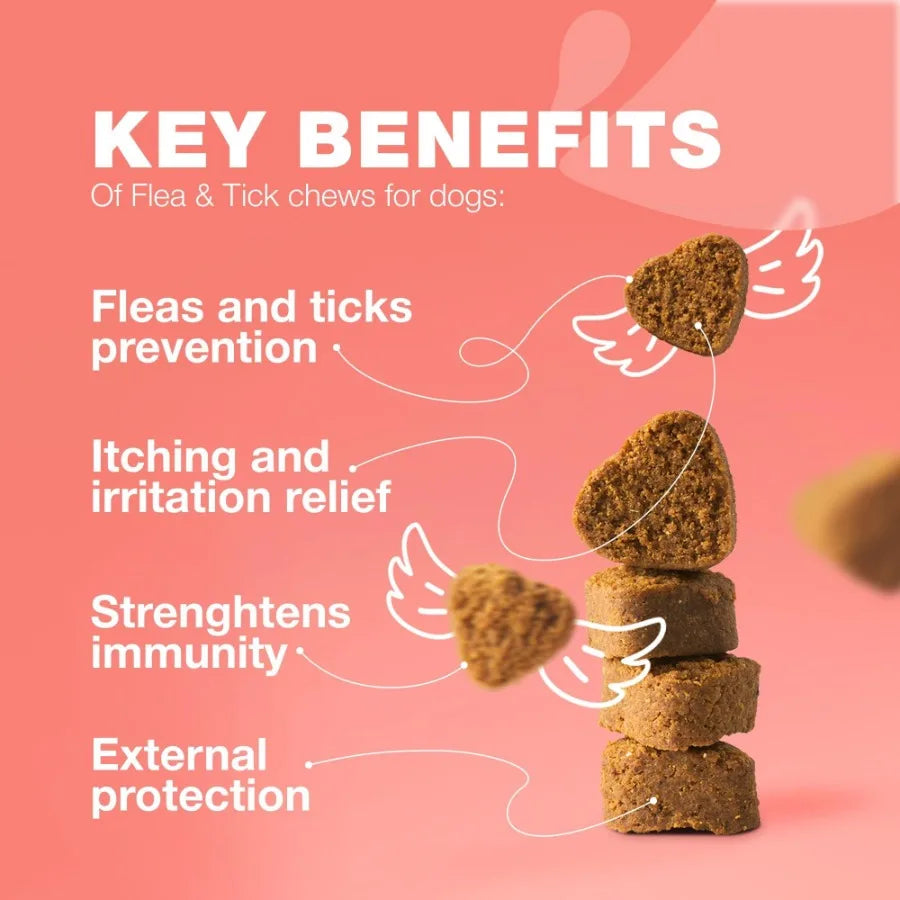 Natural Dog Flea and Tick Treatment Chews for Prevention