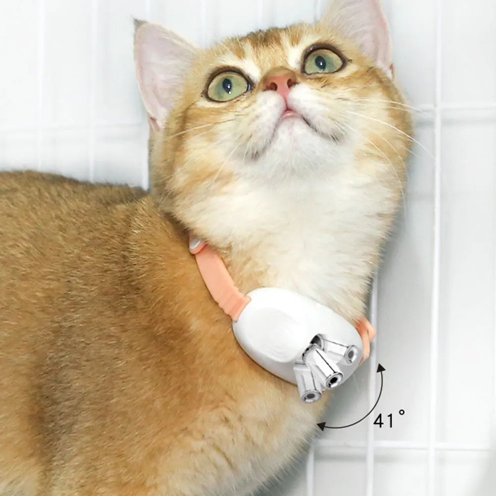 USB Rechargeable Interactive Kitten Collar for Indoor Cats