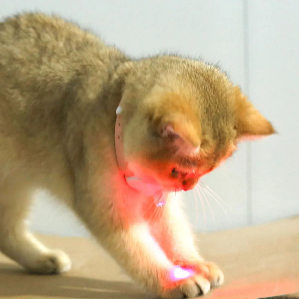 USB Rechargeable Interactive Kitten Collar for Indoor Cats