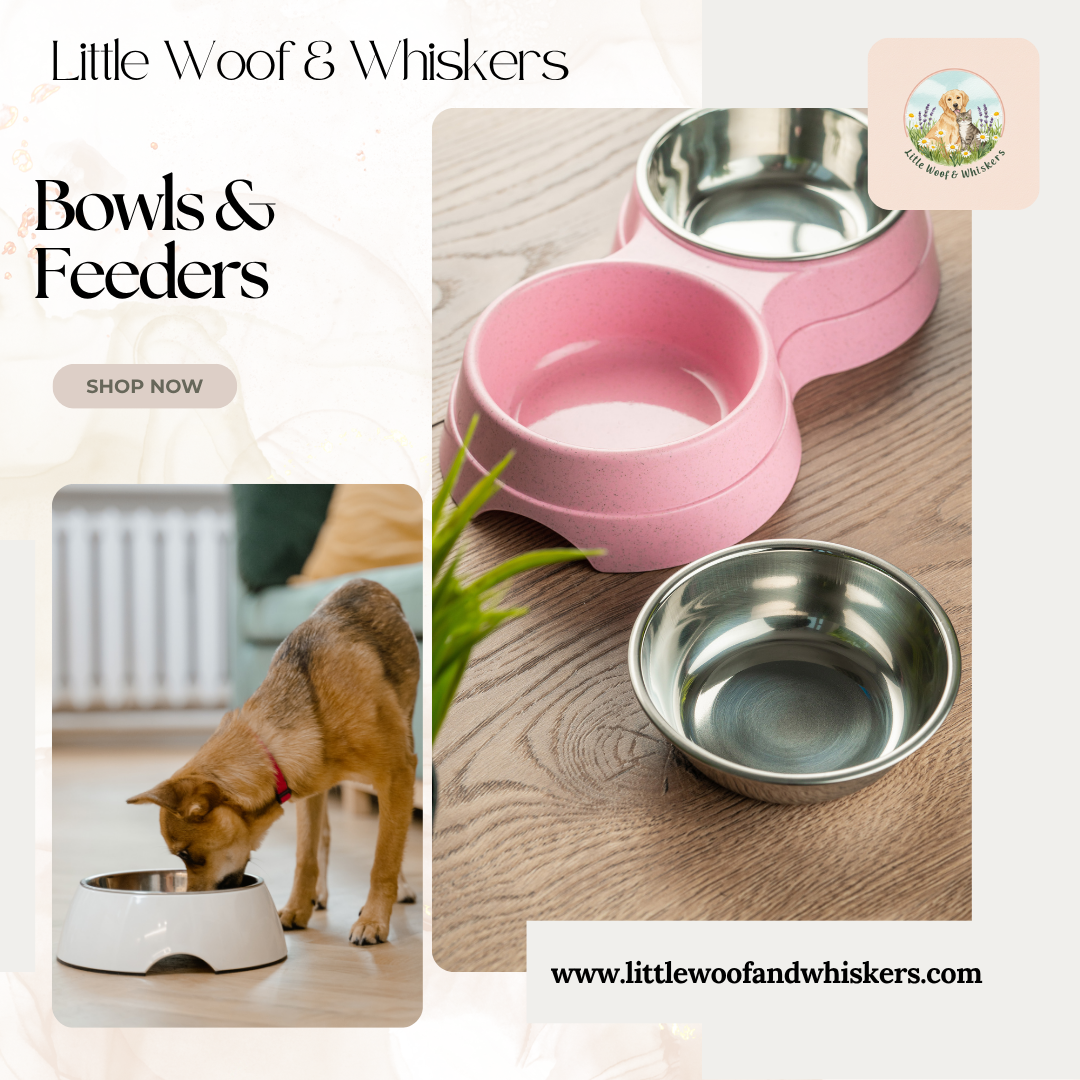 The Perfect Mealtime Setup: Choosing the Right Pet Bowls & Feeders