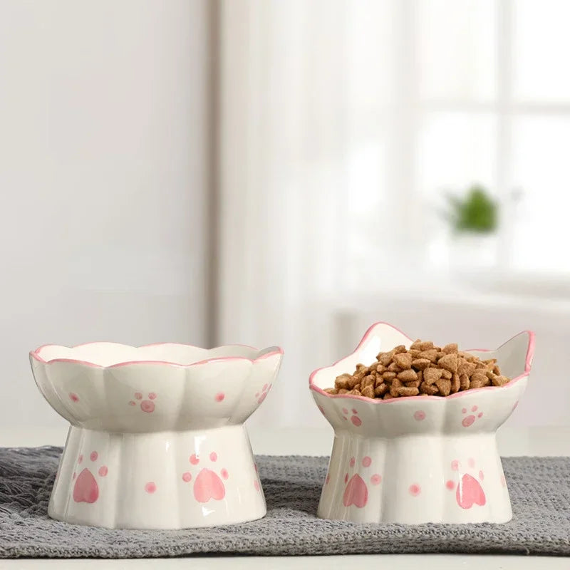 Elevated Ceramic Bowl Set for Dogs and Cats Feeding