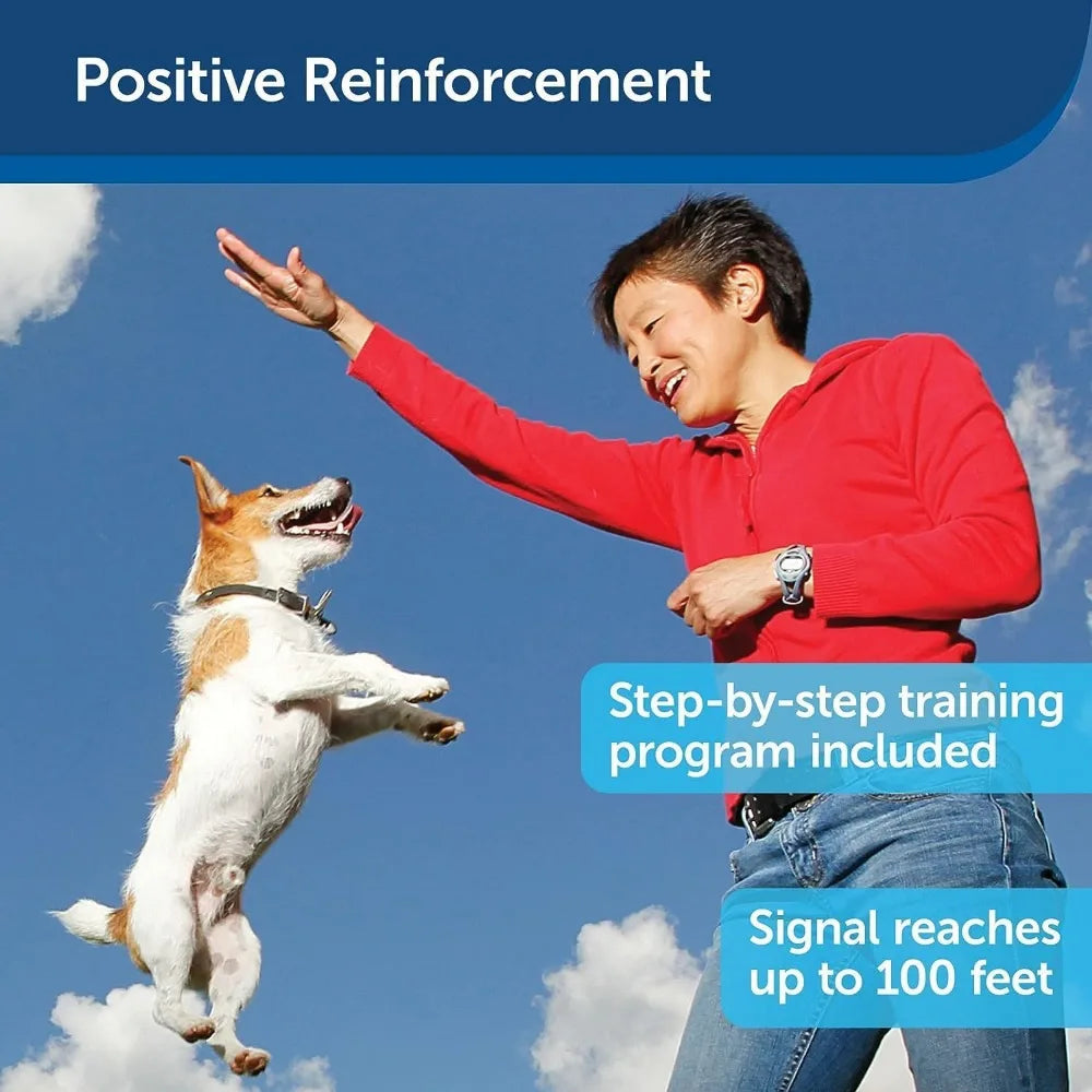 Breed Recommendation Treat And Train Remote Treat Dispensing System
