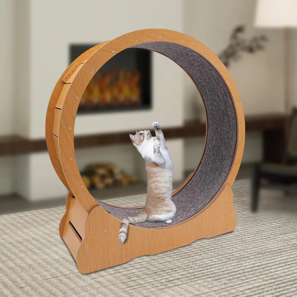 Indoor Cat Exercise Wheel with Toys for Active Play