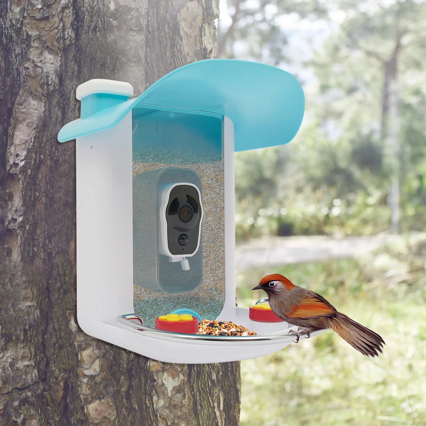 Smart Bird Feeder With Camera Auto Capture Solar Panel