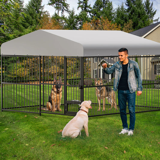 Large Outdoor Dog Kennel Heavy Duty With Roof And Locks