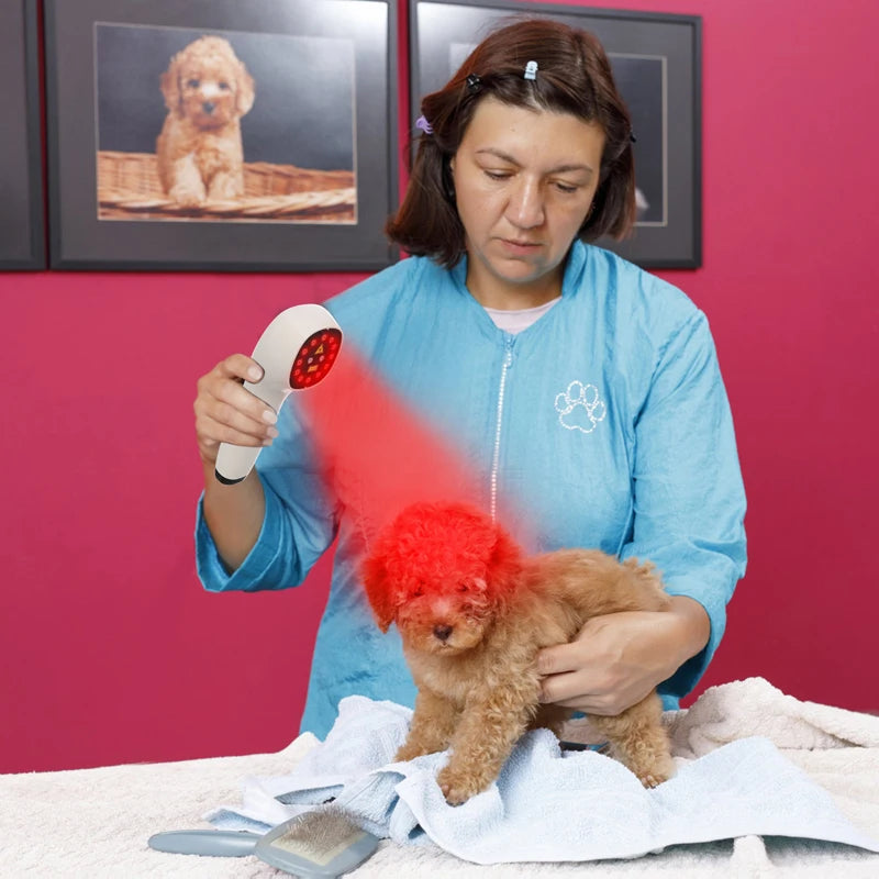 Dog 808nm Laser Therapy Device Red Light For Pain Relief