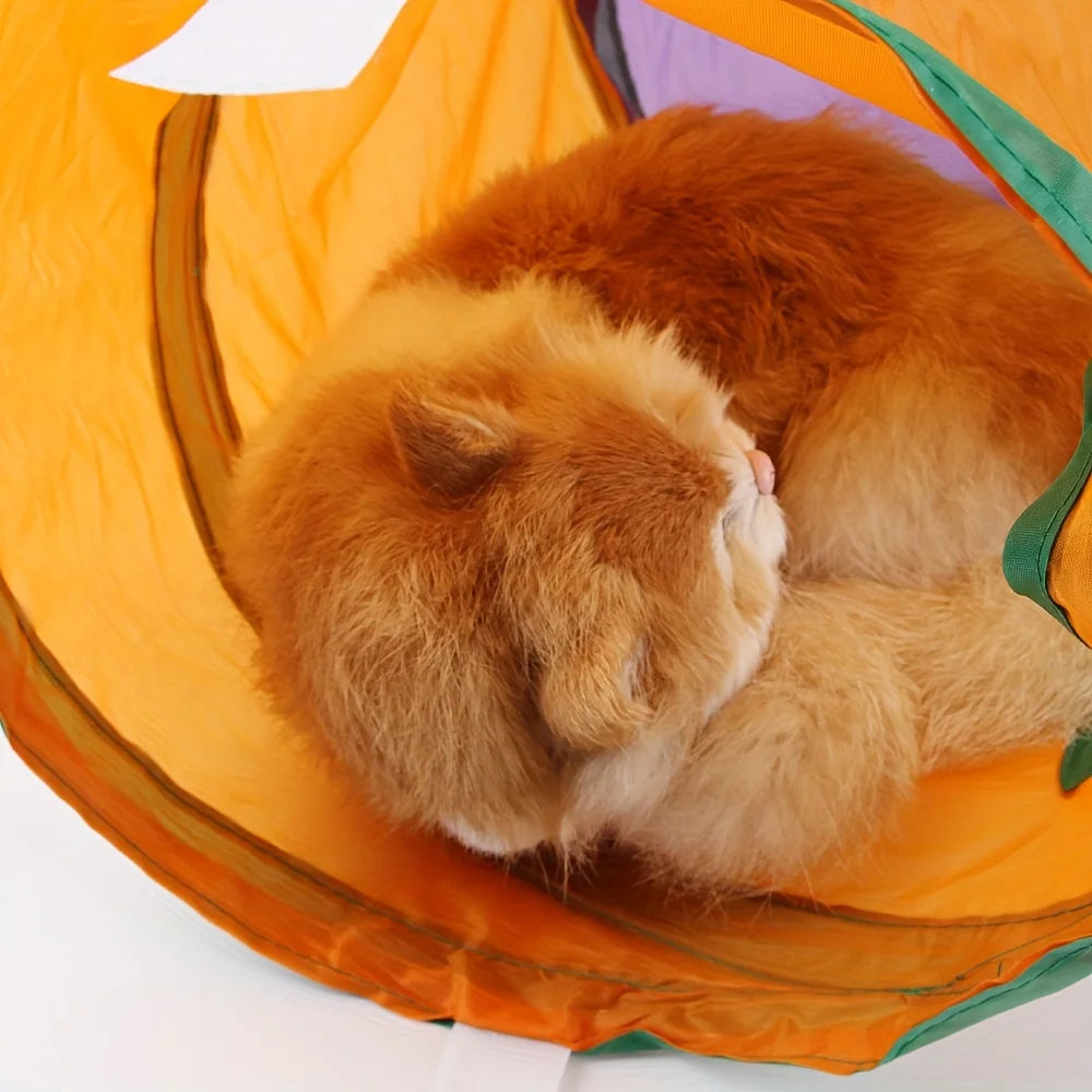 CN Zhejiang Premium Cat Tunnels Pack Four Durable Suede