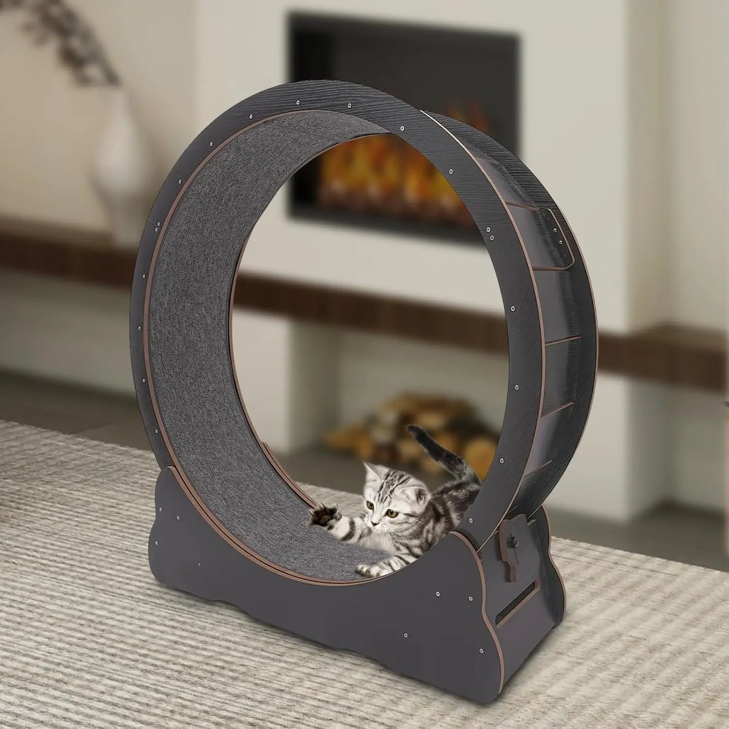 Indoor Cat Exercise Wheel with Toys for Active Play
