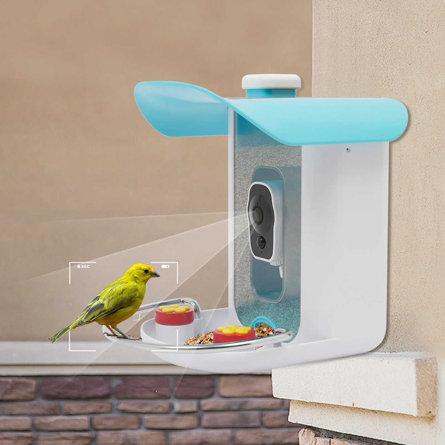Smart Bird Feeder With Camera Auto Capture Solar Panel