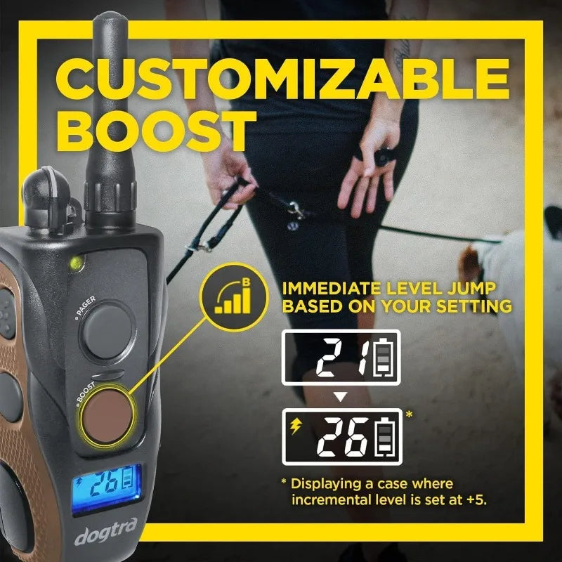 Remote Dog Training E Collar Handsfree Square High Output