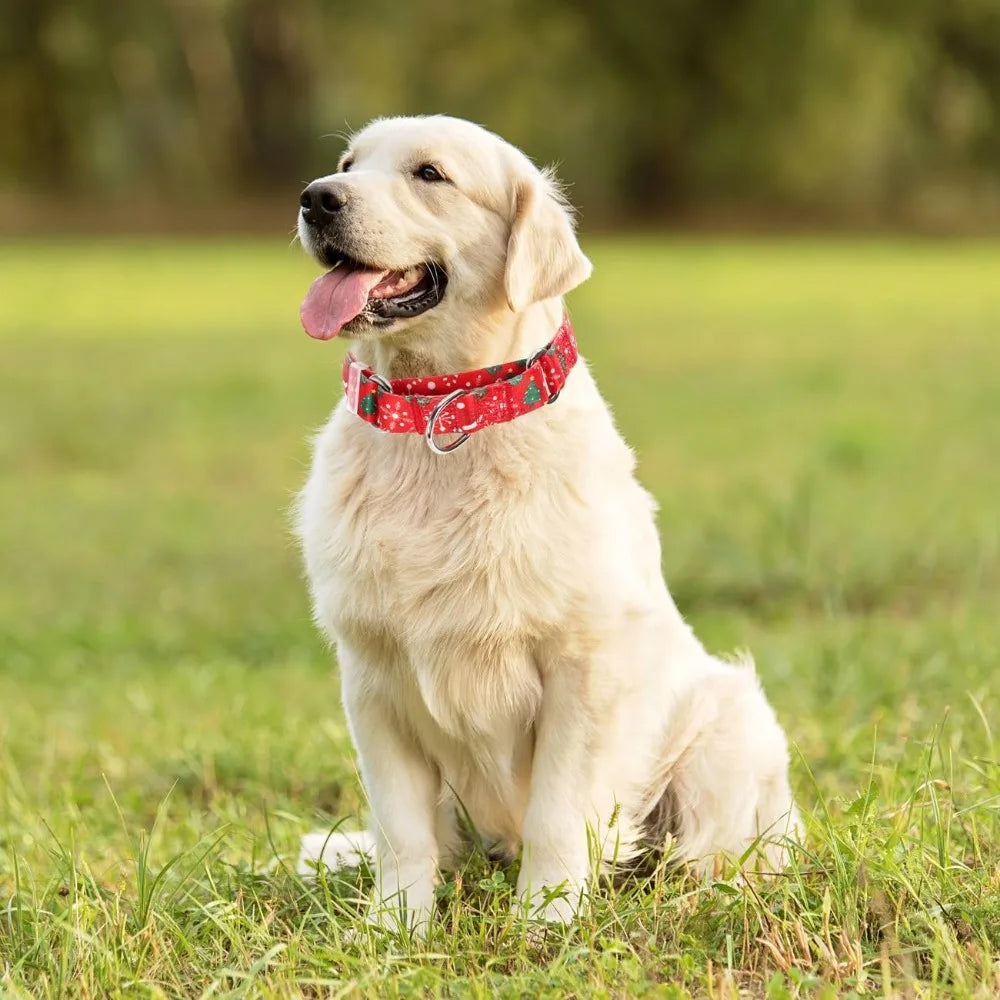 Christmas Martingale Dog Collar Red No Slip Nylon Training