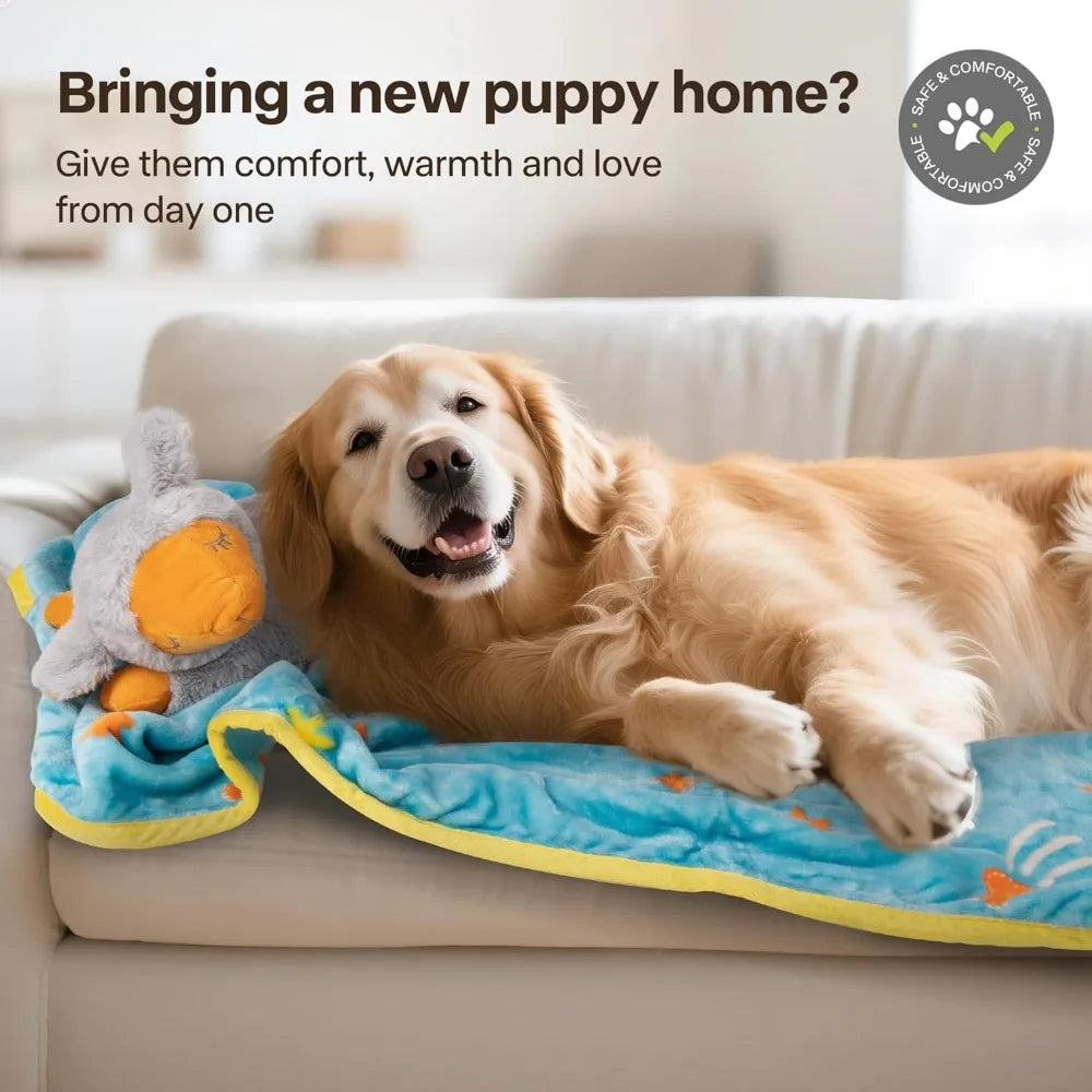 Hign-concerned Puppy Essentials Starter Kit for Newborn Puppies