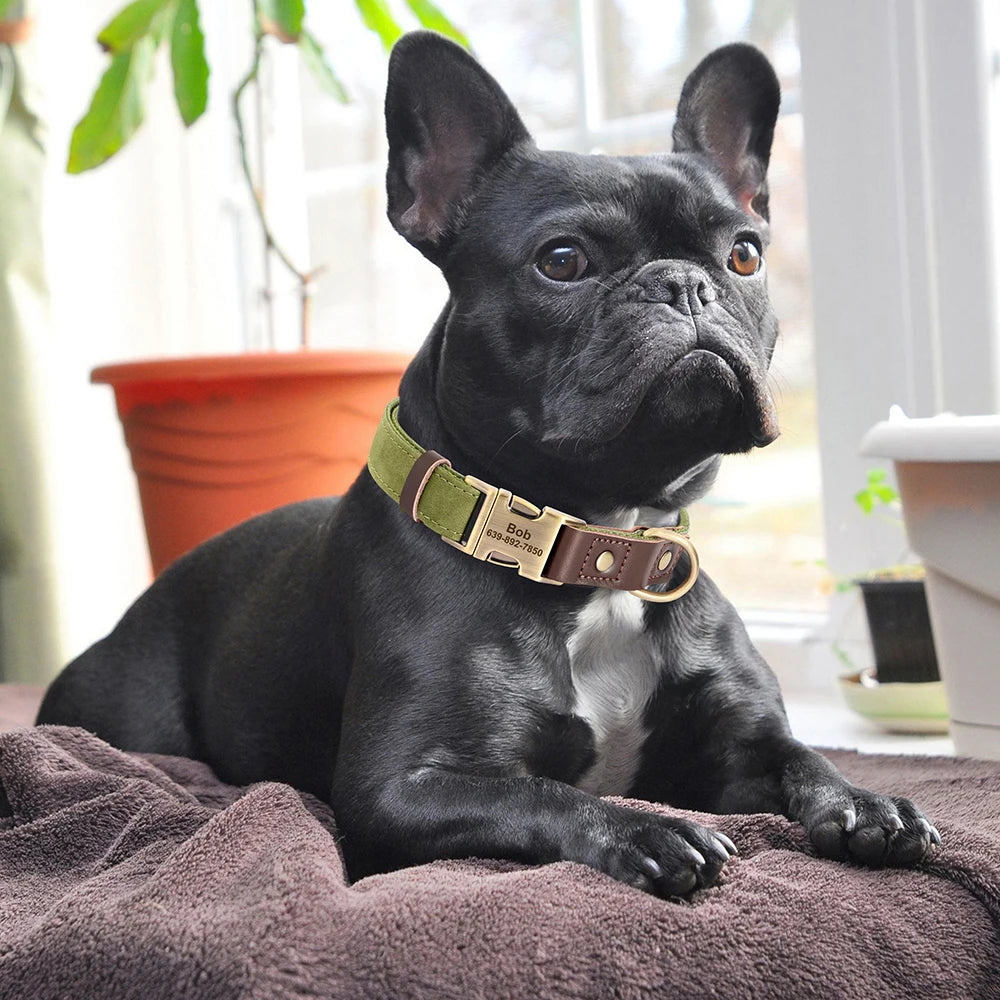 Didog PU Leather Dog Collar Personalized Engraved ID Tag Adjustable For Small Medium Large Dogs