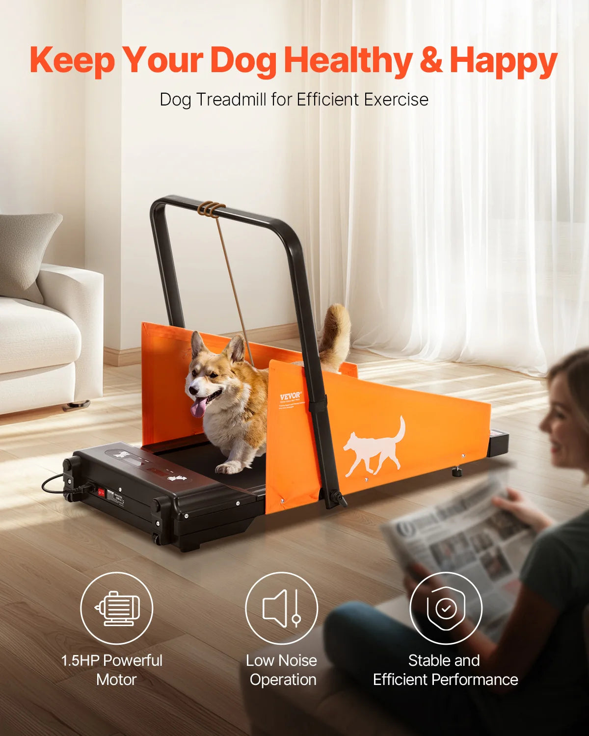 Dog Treadmill for Medium Dogs Electric LCD Display