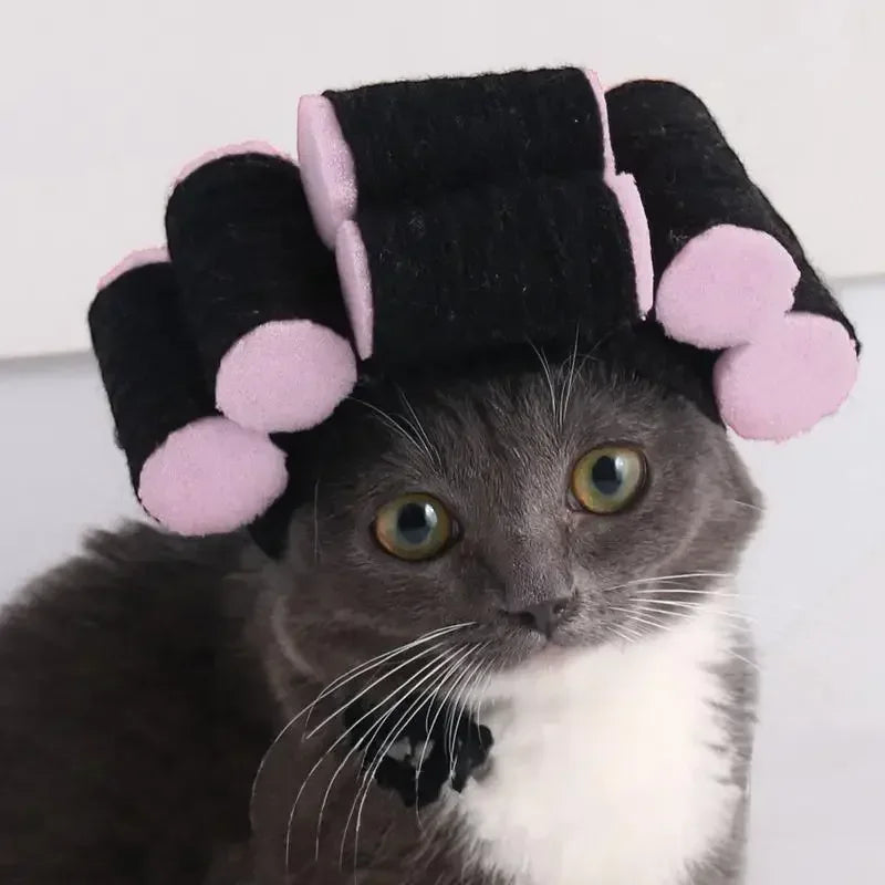 Guangdong Dog Wig Hat Costume For Pets Cozy Cosplay