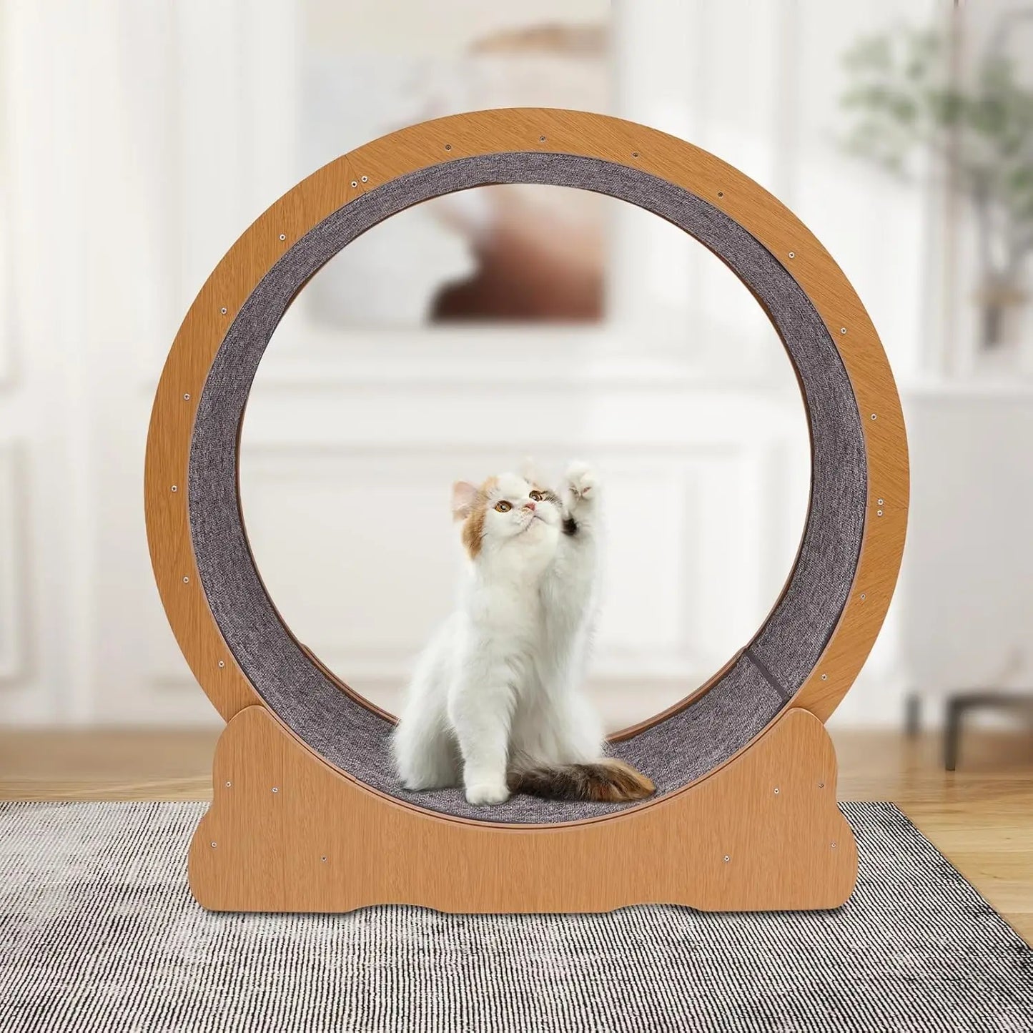 Indoor Cat Exercise Wheel with Toys for Active Play