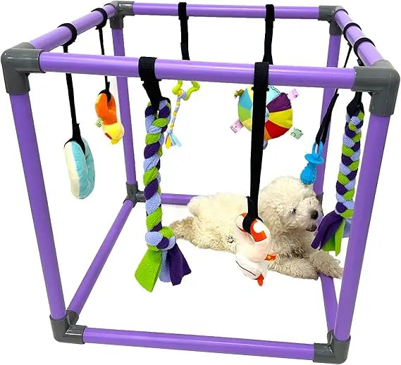 Hign-concerned Puppy Play Gym for Small Dogs with 8 Toys