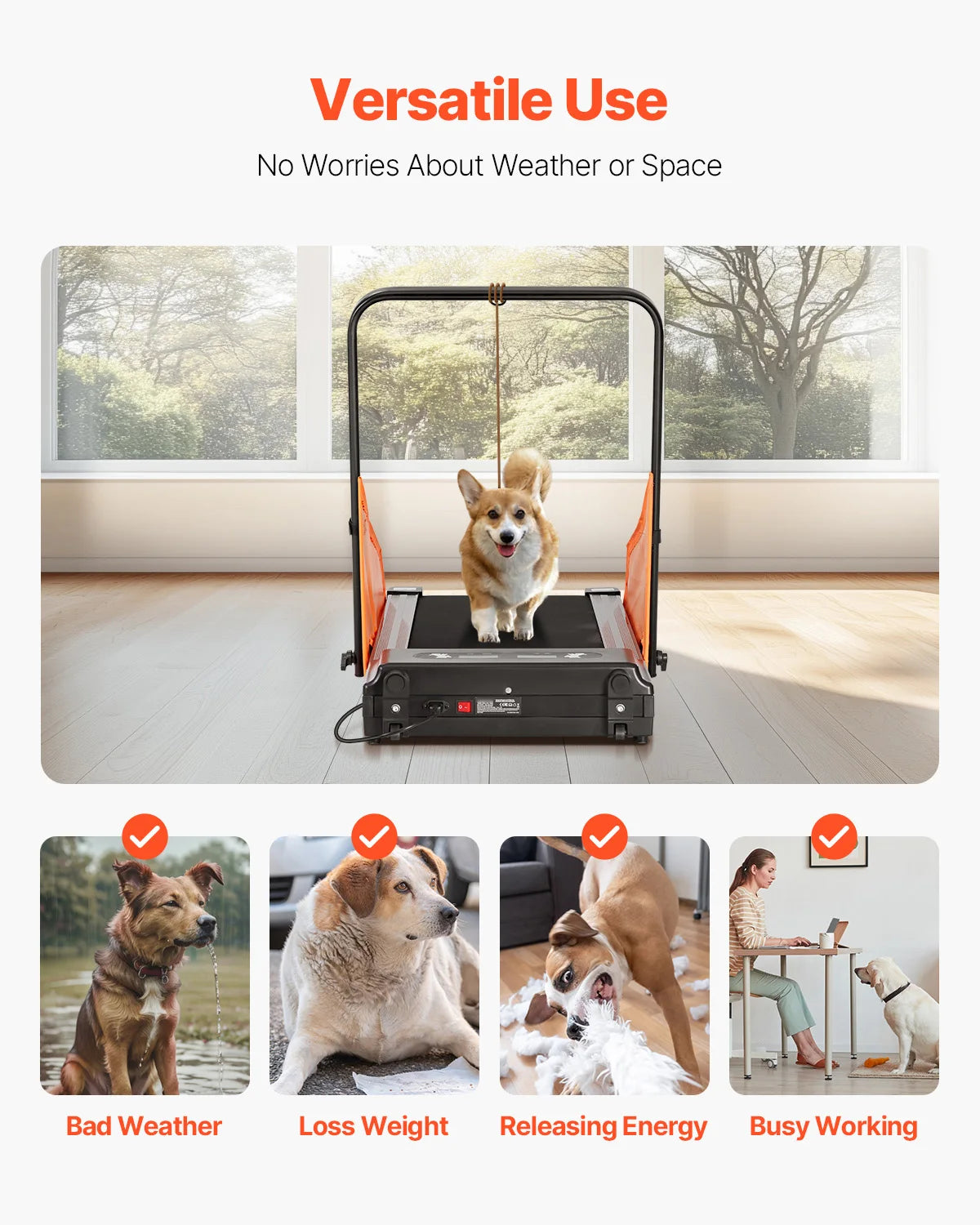 Dog Treadmill for Medium Dogs Electric LCD Display
