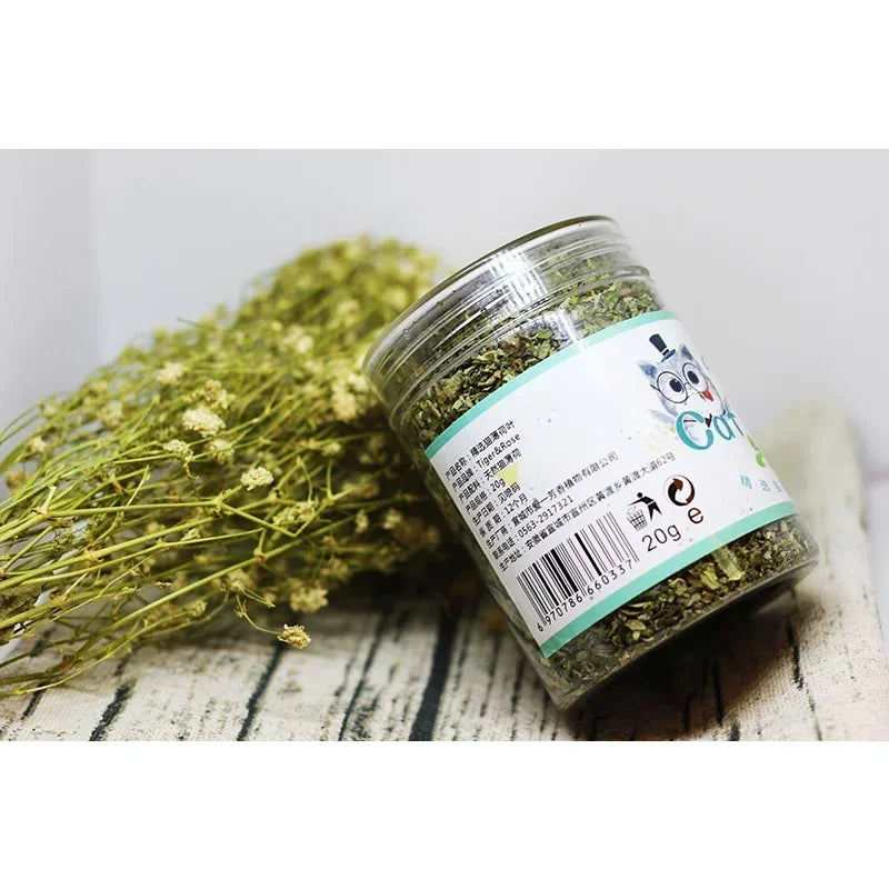 Organic Catnip Cat Grass Mint Taste Interactive Cat Toy
