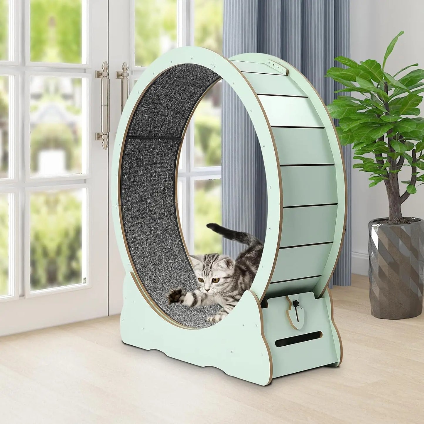 Indoor Cat Exercise Wheel with Toys for Active Play