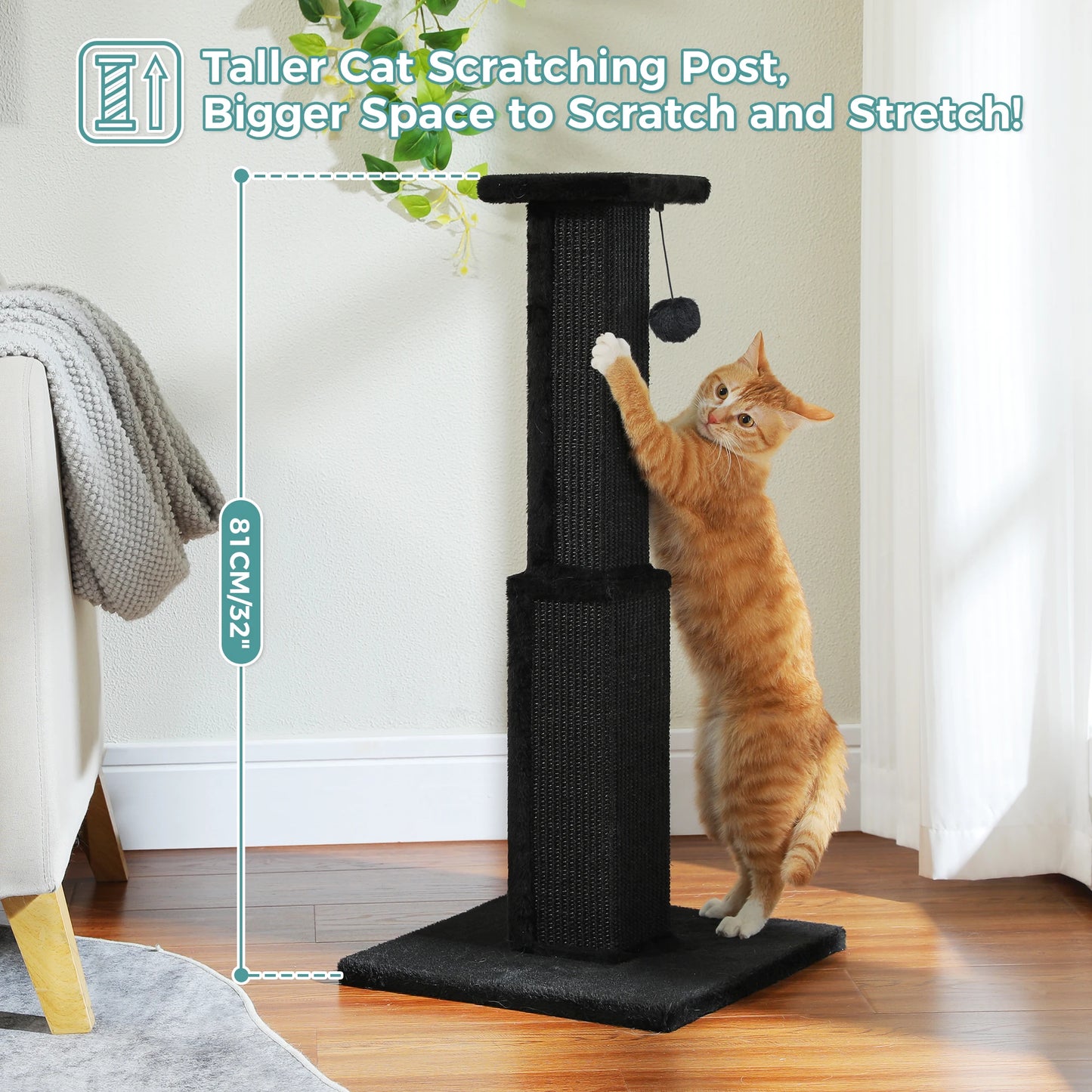 PAWZ Road Cat Scratching Post Indoor Scratcher With Sisal Dangling Ball Toy