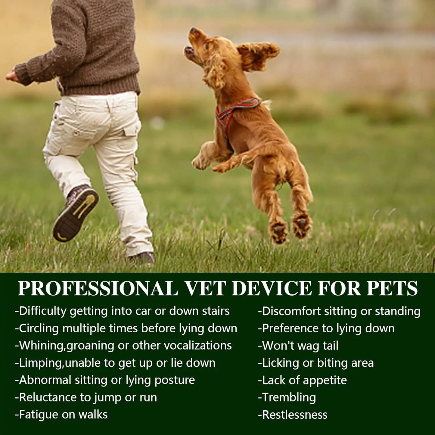 Portable Red Light Therapy Device For Pets Wavelengths 660nm And 810nm