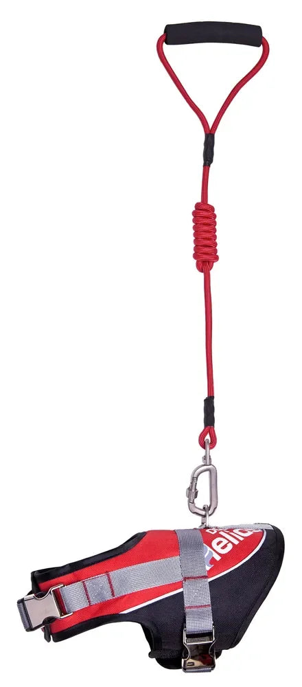 Premium Adjustable Dog Harness and Leash 2-in-1 Set