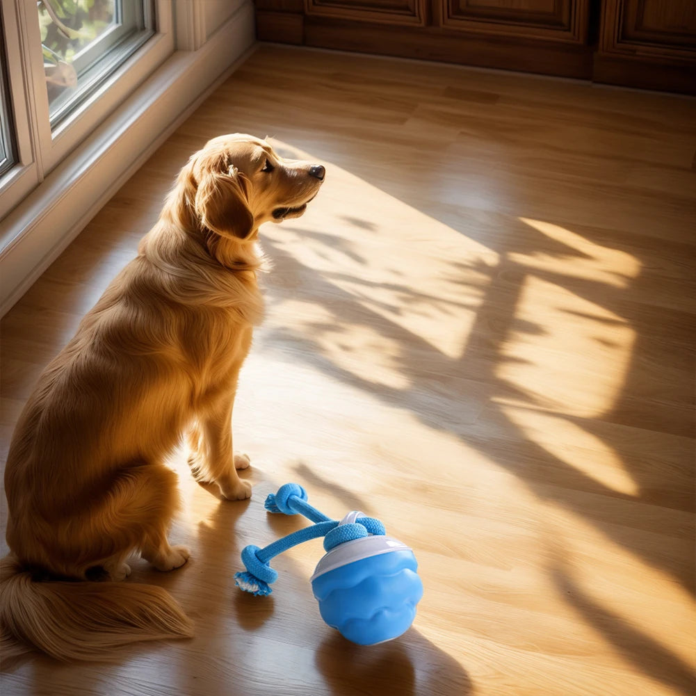 High Concerned Interactive Dog Ball Auto Bouncing USB Toy
