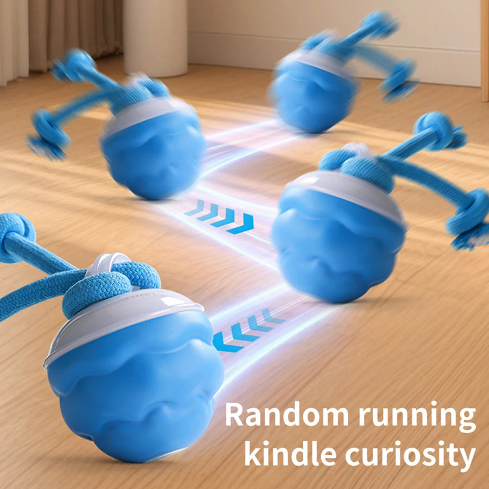 High Concerned Interactive Dog Ball Auto Bouncing USB Toy
