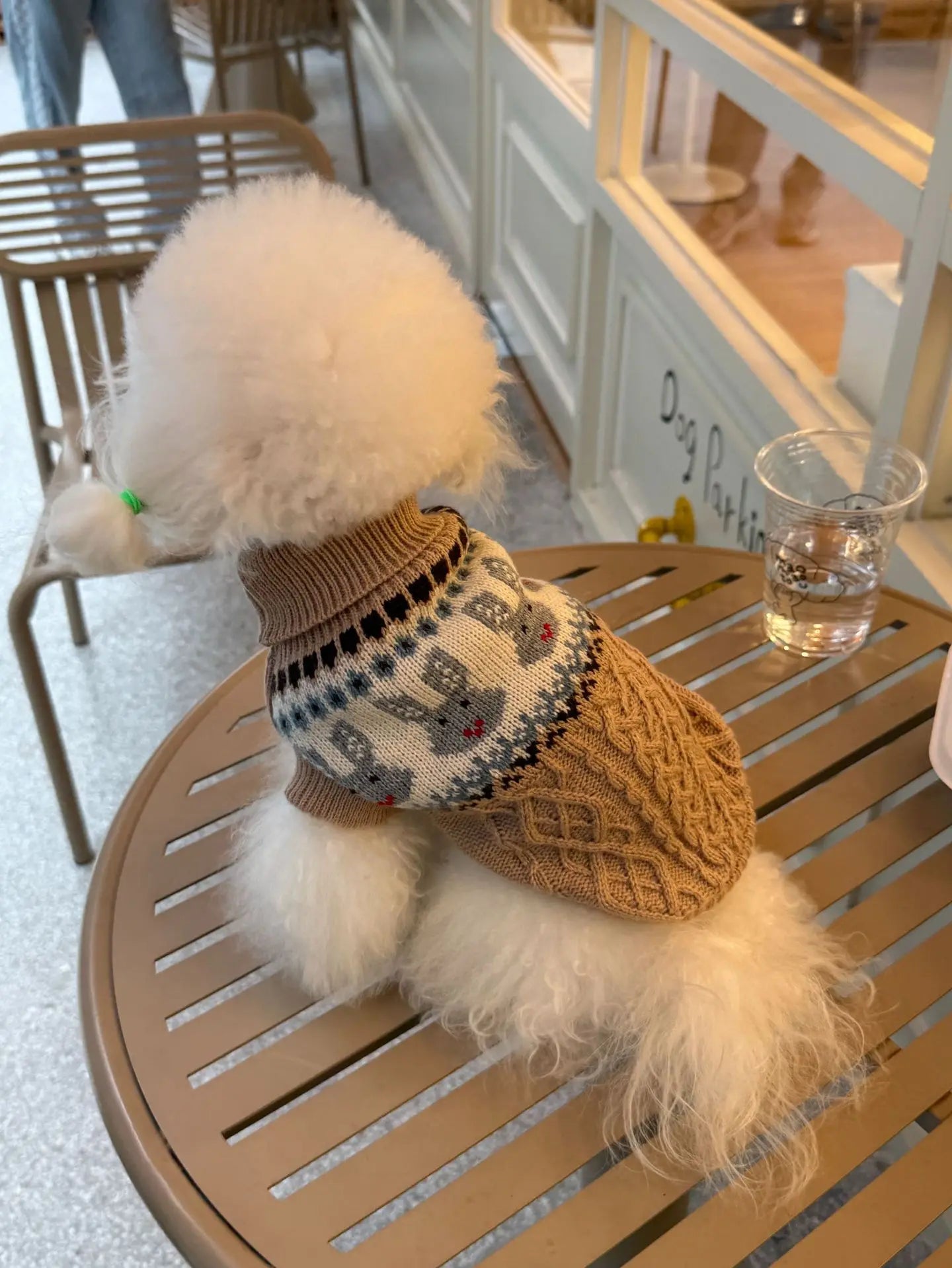 Autumn Winter Knitted Sweater for Small Dogs and Cats