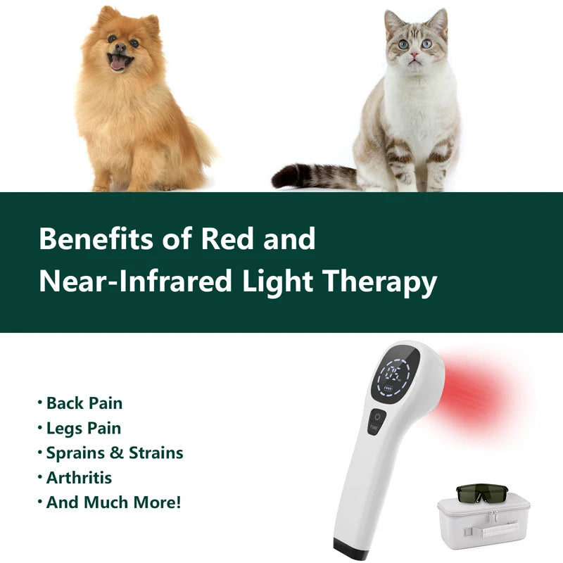 Dog 808nm Laser Therapy Device Red Light For Pain Relief