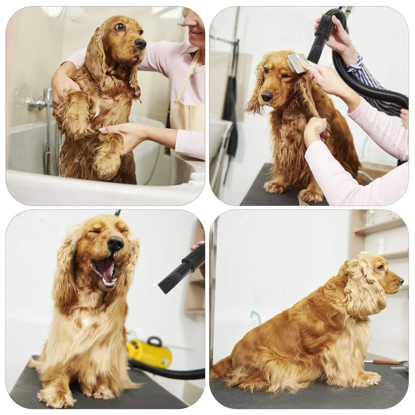 Dog Hair Dryer 3.8HP 2800W Pet Grooming Blower With Heat And Adjustable Speed