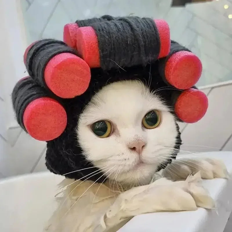 Guangdong Dog Wig Hat Costume For Pets Cozy Cosplay