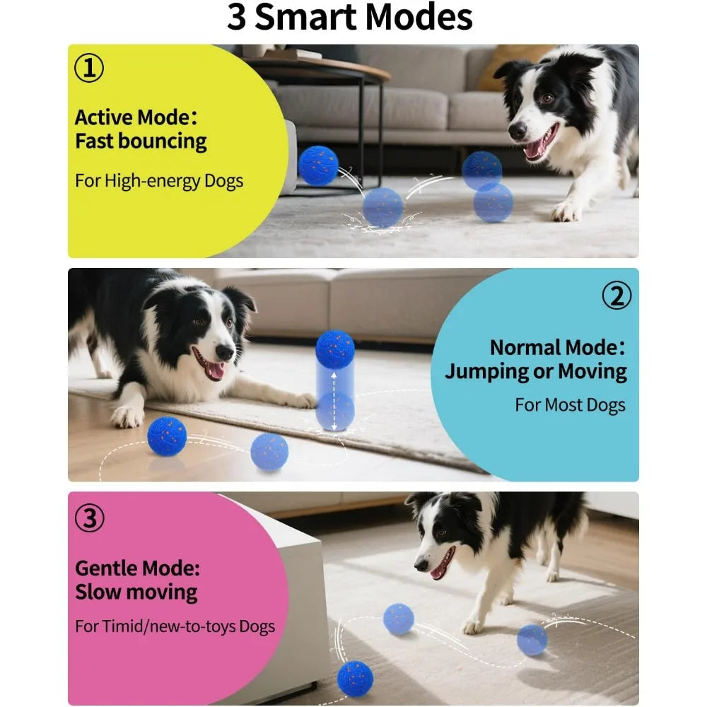 Schitec Interactive Dog Ball With Autonomous Movement