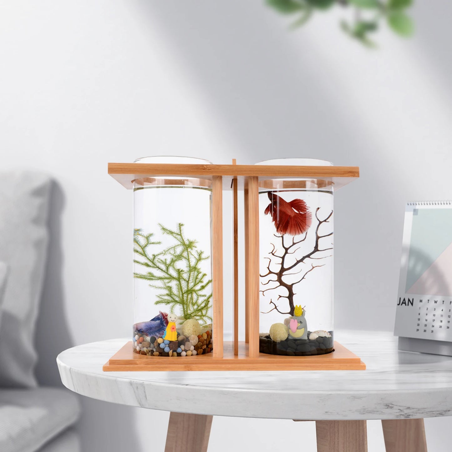 Creative Mini Fish Tank With Bamboo Wood And Dual Glass