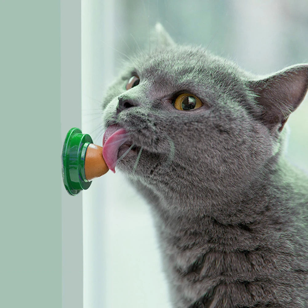Catnip Wall Ball Treats for Cats Healthy Digestion 5 Pcs