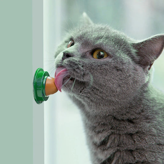Catnip Wall Ball Treats for Cats Healthy Digestion 5 Pcs