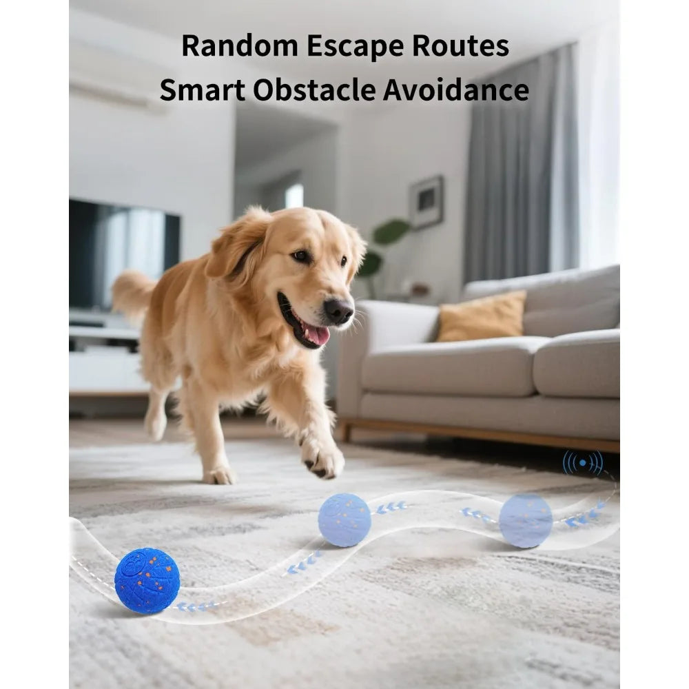 Schitec Interactive Dog Ball With Autonomous Movement