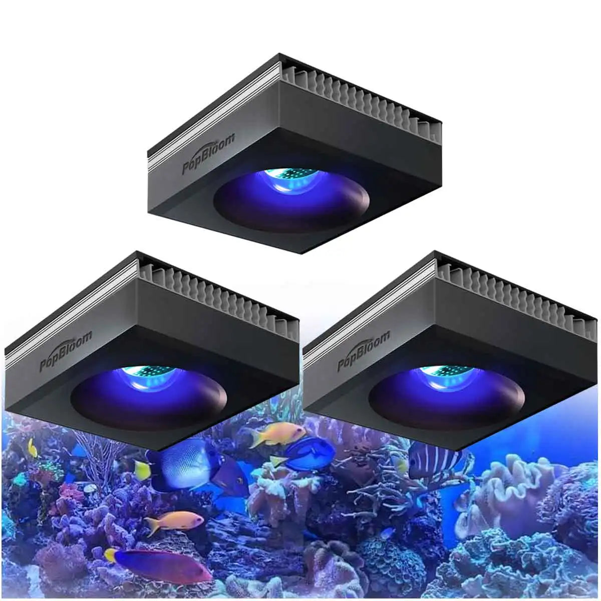 PopBloom RL90 WiFi Reef Aquarium Light 100W Full Spectrum LED